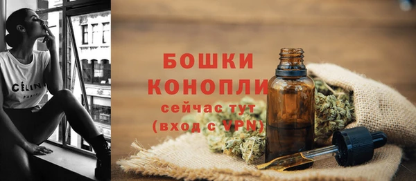 шишки Белоозёрский