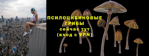 шишки Белоозёрский