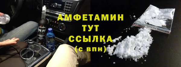 шишки Белоозёрский