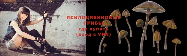 соль ск Беломорск