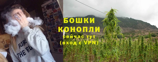 шишки Белоозёрский