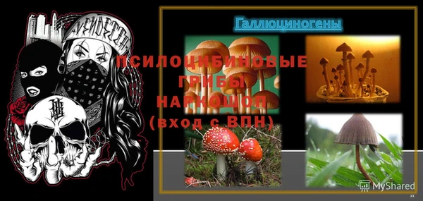 метадон Белокуриха