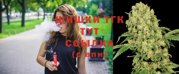 шишки Белоозёрский