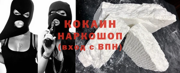 шишки Белоозёрский