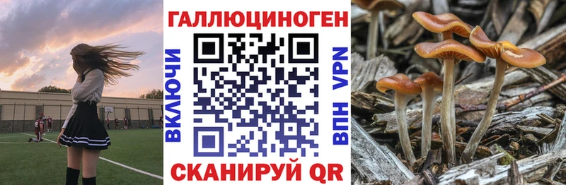 Псилоцибиновые грибы GOLDEN TEACHER  Шагонар 